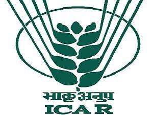 /Icar-logo-new